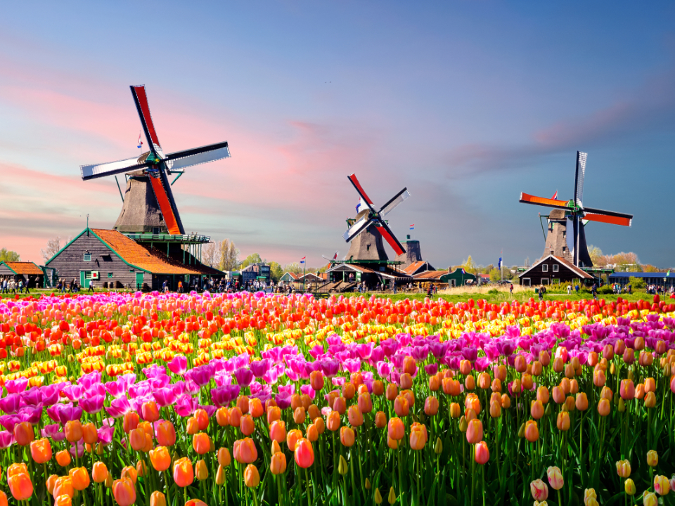 LALE MEVSİMİNDE HOLLANDA