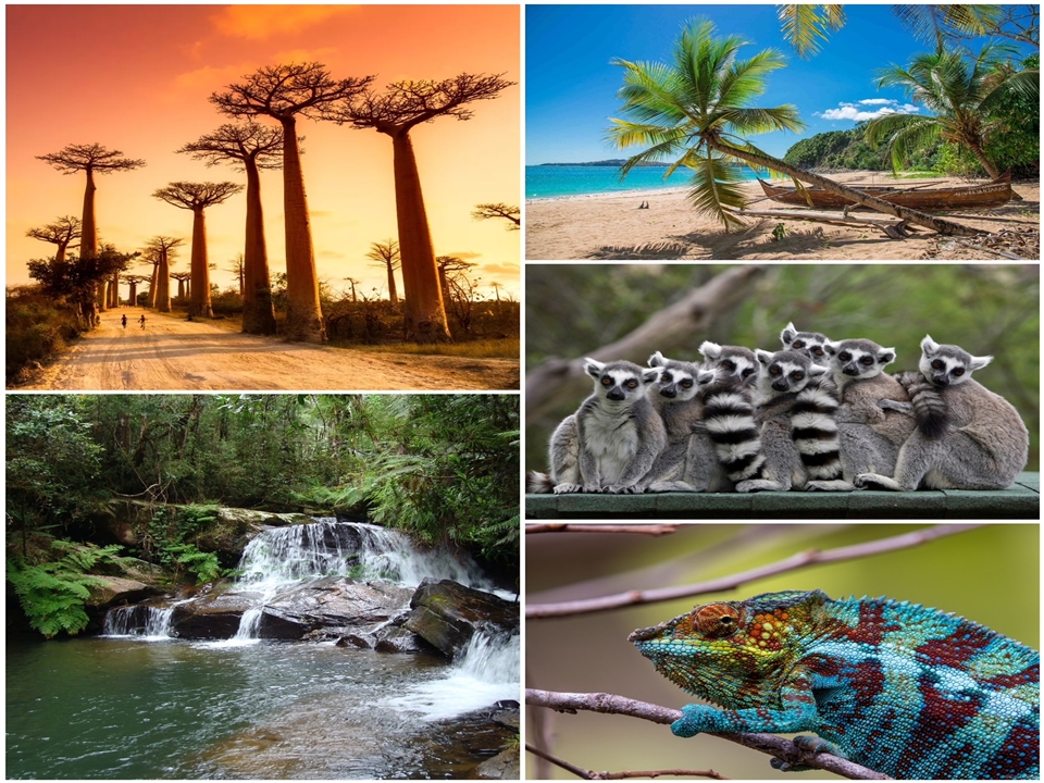MADAGASKAR  (Katılımınız için teşekkürler)